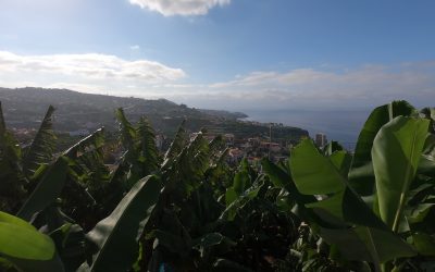 Reasons to Visit Madeira Island